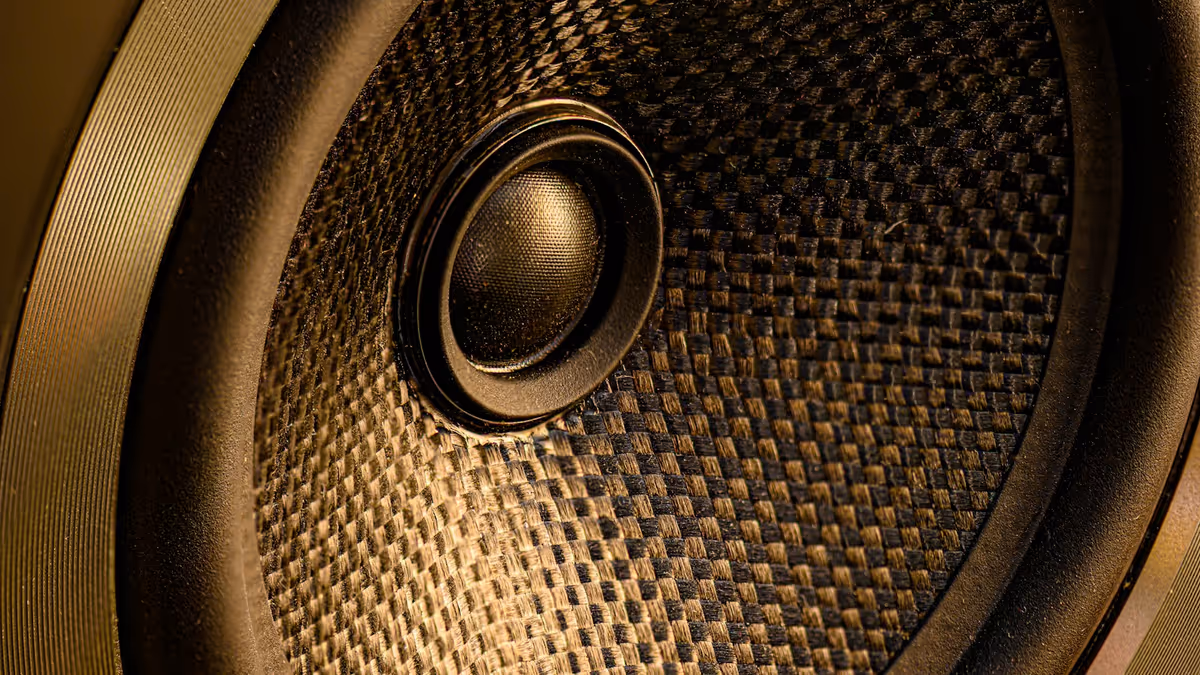 Cono de un altavoz de gran diámetro visto de cerca con iluminación cálida