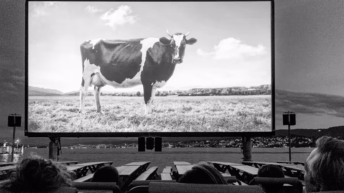 Público sentado frente a una pantalla de proyección al aire libre, en blanco y negro