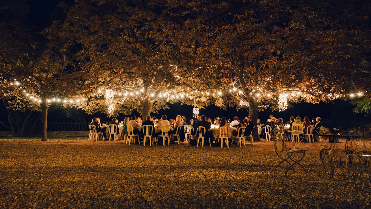 Personas bajo árboles con guirnaldas de luces durante una cena nocturna