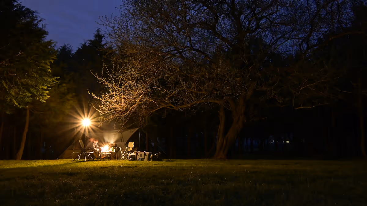 Personas sentadas en un parque por la noche durante una reunión