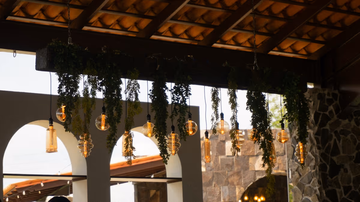 Focos Edison en viga de madera con plantas verdes para terraza
