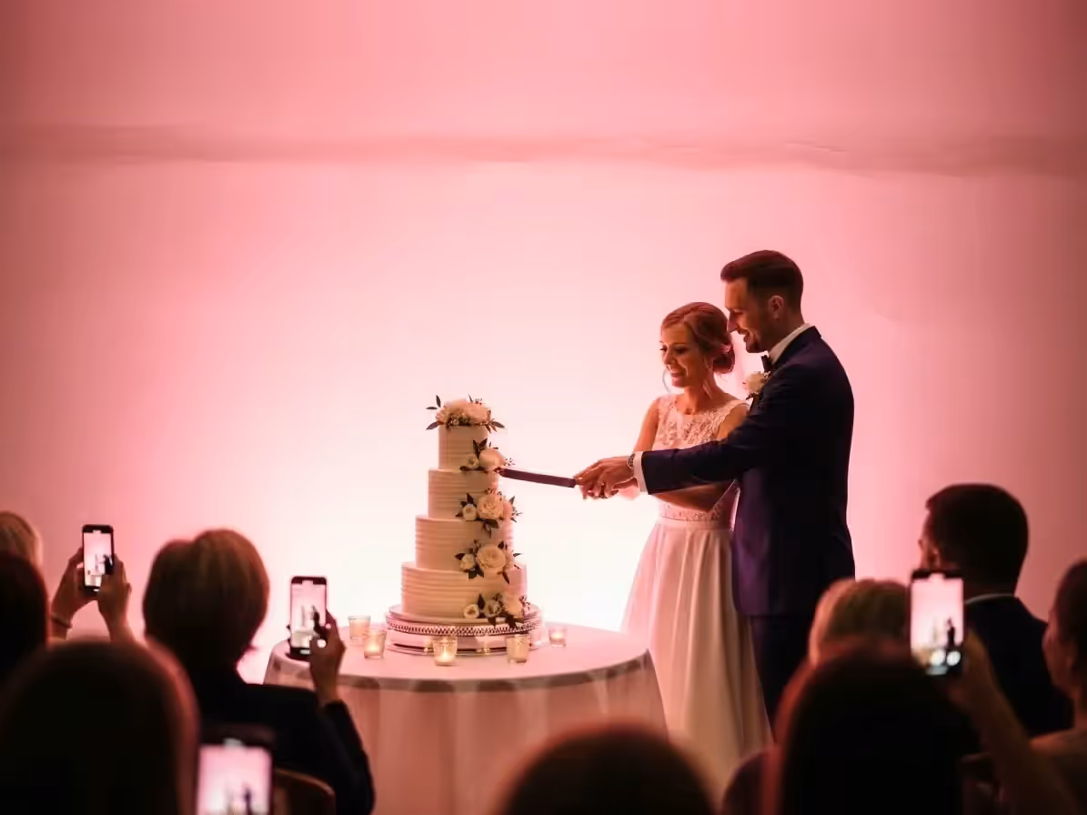 Corte de pastel iluminado con PAR LED rosa