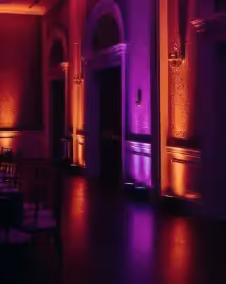 Ambiente de fiesta con zona diferenciada en CDMX