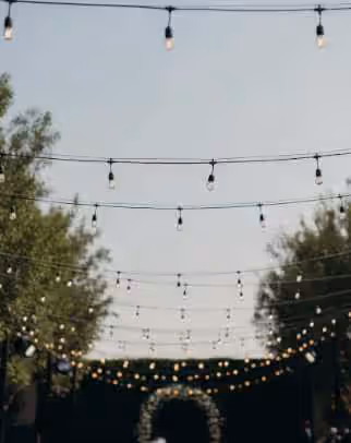 Focos Edison vintage para eventos nocturnos