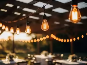 Renta de guirnaldas LED estilo Edison para bodas en jardín CDMX - Iluminación cálida vintage