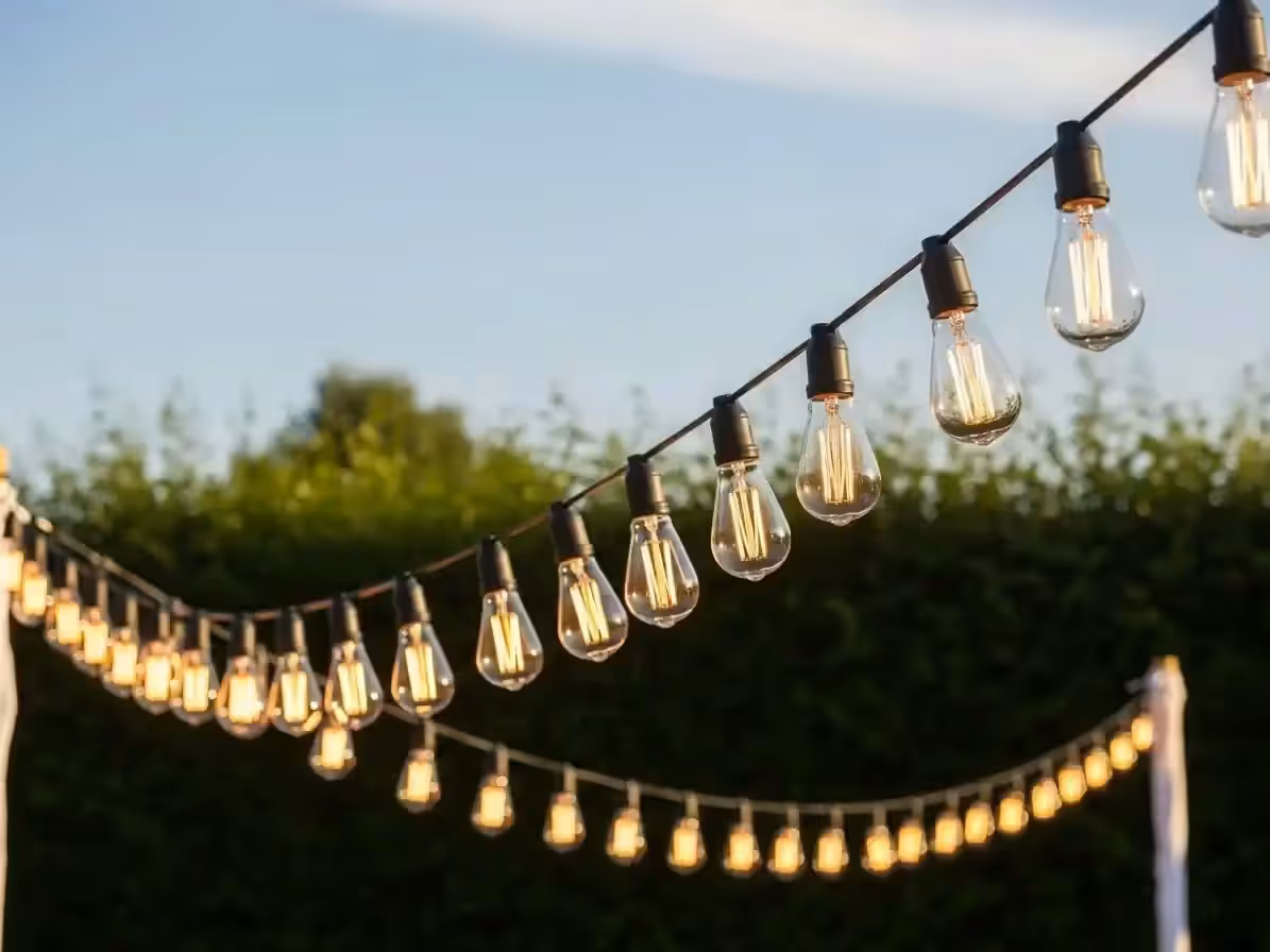 Guirnaldas con focos tipo Edison encendidos sobre un jardín al aire libre