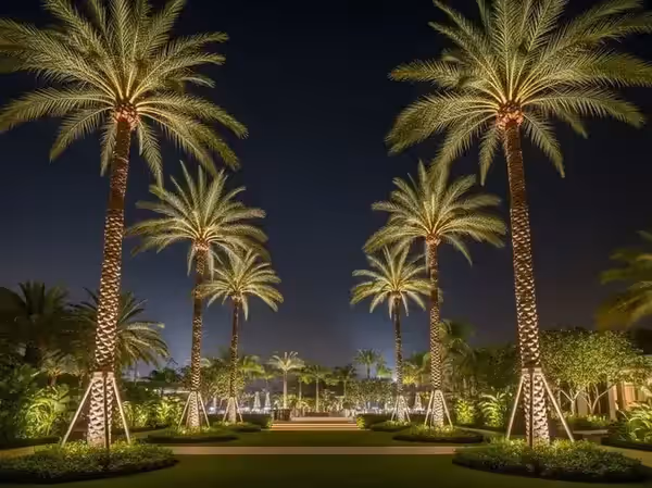Paseo de jardín con palmeras iluminadas para un evento de noche