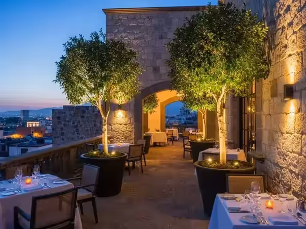 Copas de árbol en luz cálida sobre una cena en terraza mirador